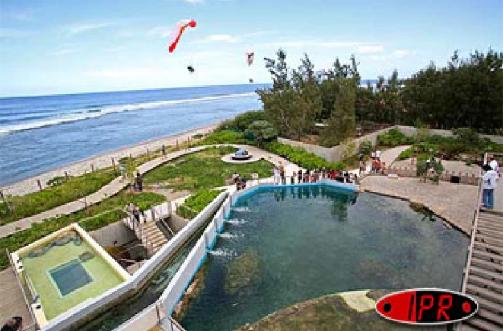 Kélonia, l'observatoire des tortues marines de Saint-Leu