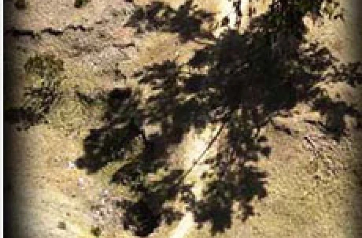 Les concurrents du Grand raid 2002 traversent la région montagneuse de Kervegen dans le Sud de l'île