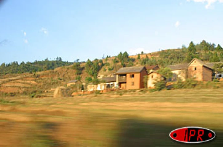 Paysage malgache -

Photo Sandrine Gasne