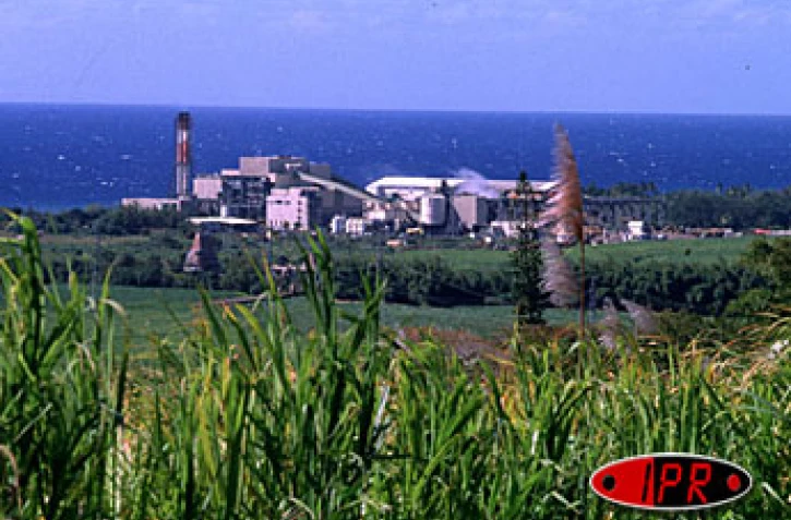 La campagne sucrière 2002 a été relativement médiocre