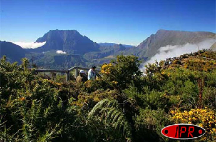 Les atouts naturels de La Réunion peuvent aussi être des atouts économiques