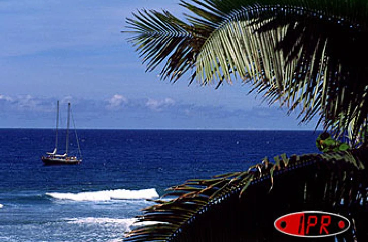Jeudi 3 juillet 2003
Le salon nautiq'hall se tiendra jusqu'au dimanche 6 juillet 2003 au Port