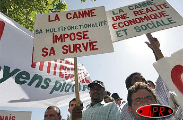 Lundi 2 mai 2005 -
À l'appel de la CGPER, les planteurs ont manifesté devant la préfecture pour la défense de la filière canne-sucre