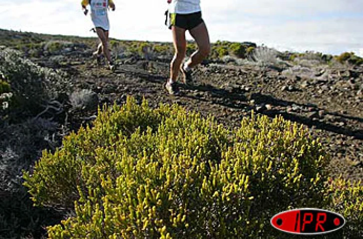 Vendredi 22 octobre 2004

Les concurrents du grand raid traverse Fok Fok sur la route du volcan