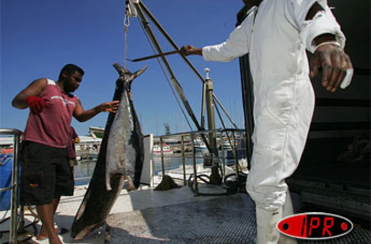 Septembre 2006

Activité marginale hier, la pêche est devenue en 20 ans le deuxième poste à l'exportation après la filière canne-sucre
