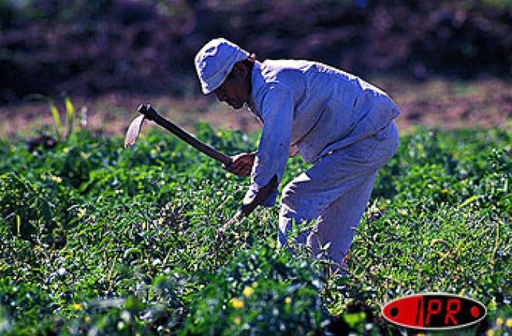 Mercredi 10 décembre 2003

Pour une agriculture raisonnée et respectueuse de l'environnement