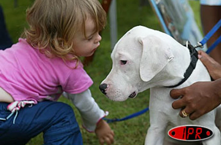 Dimanche 3 octobre 2004
Toutous en vedette lors de la journée mondiale des animaux