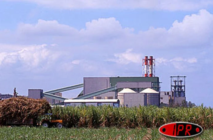 La Commission au conseil duParlement européen a décidé d'exclure les régions ultra-périphériques du futur règlement sucrier.