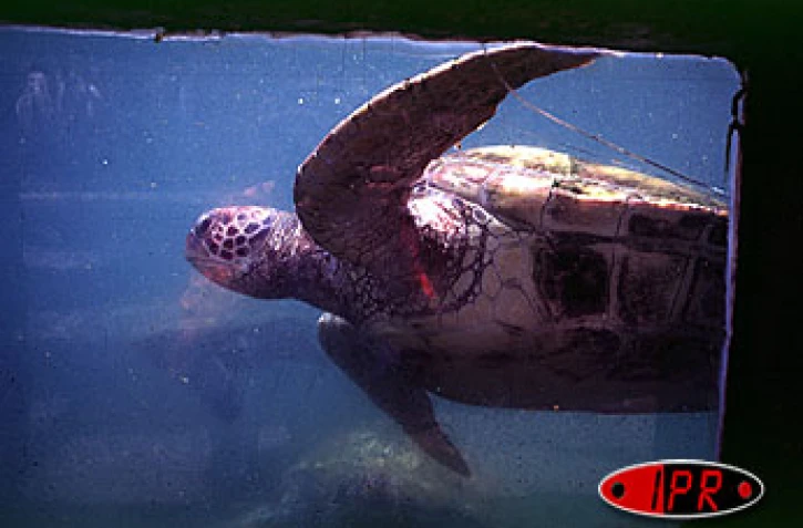 La ferme Corail restera fermée au public pendant 18 mois à partir du lundi 22 mars 2004