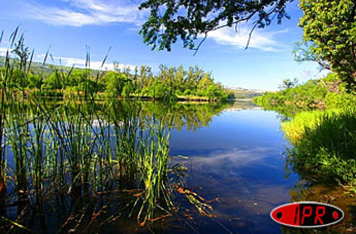 Le site de l'Étang Saint-Paul. Verdoyant, calme et exceptionnel par la diversité de sa flore et de sa faune