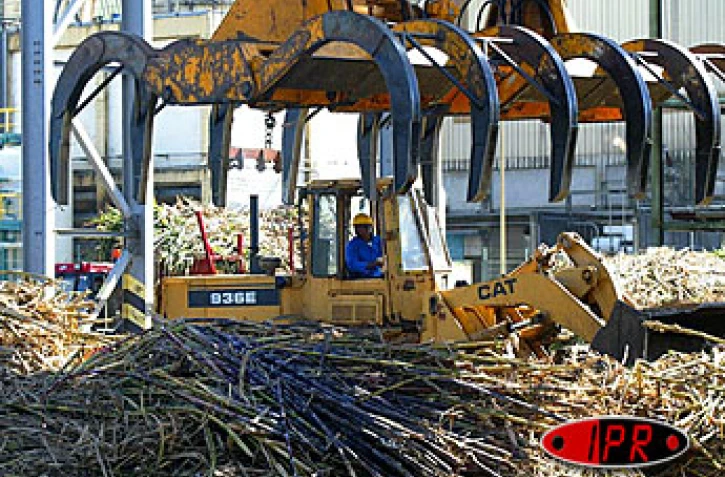 Les sucreries du Gol et de Bois Rouge ont recommencé à broyer les cannes à sucre depuis ce mardi 21 octobre 2003 À 14 heures