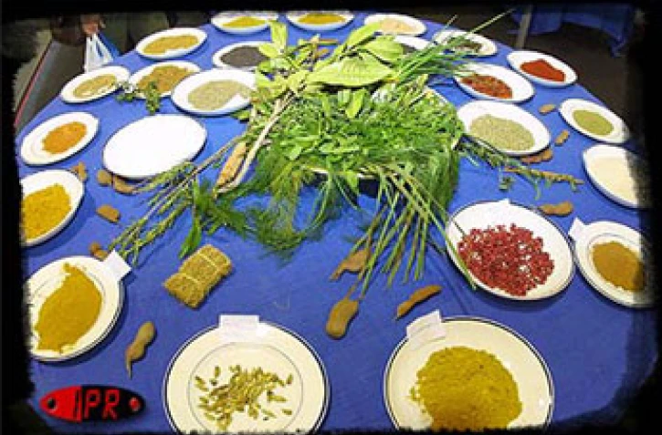 Régal 2000, le salon du goût et de la gastronomie, a eu lieu du mercredi 22  au dimanche 26 novembre 2000 au parc des expositions de Saint-Denis