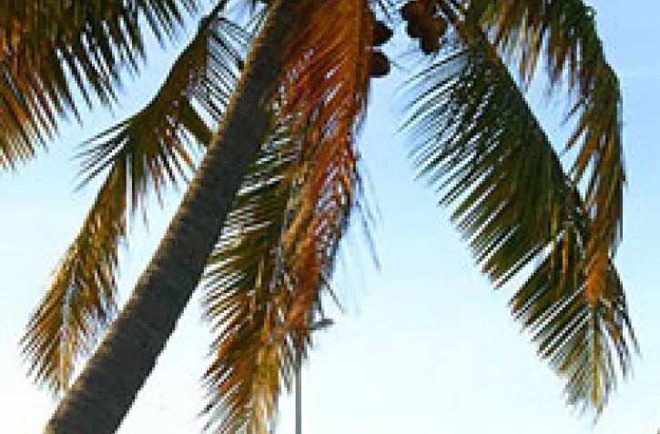 L'aéroport Roland Garros
