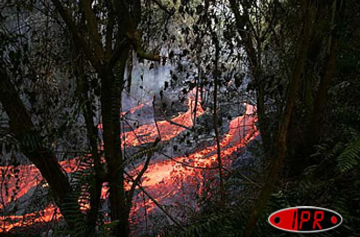 Mercredi 25 août 2004 - 

La lave du Piton de la Fournaise se jette dans la l'Océan indien
