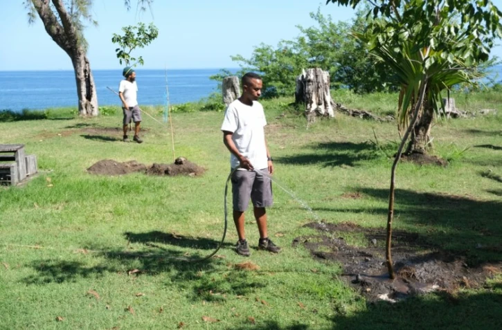 100 000 arbres ville de Saint-Paul