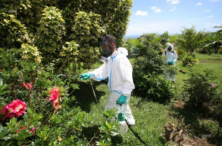 Dengue