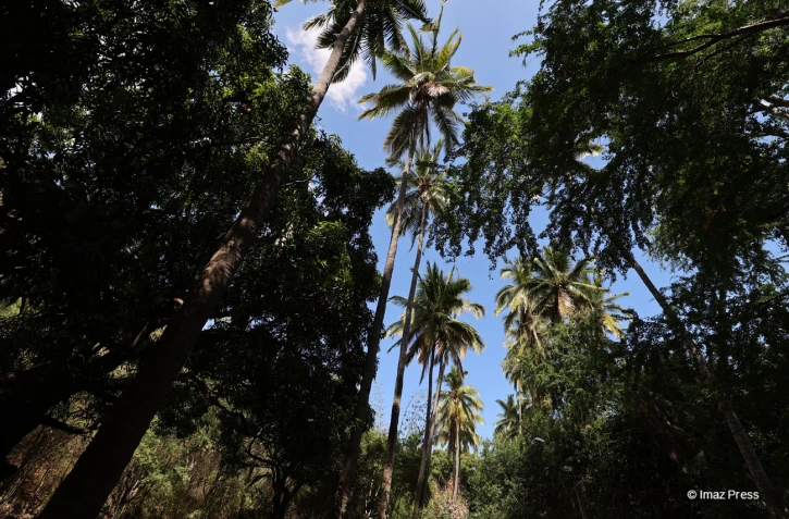 météo réunion