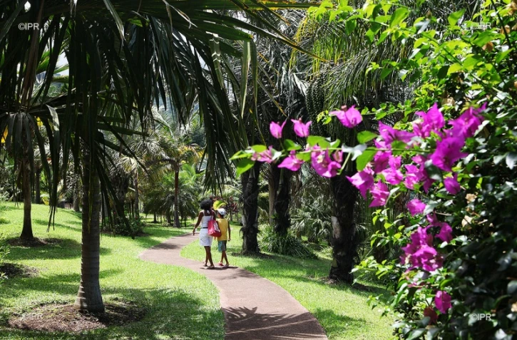 Mascarin jardin botanique