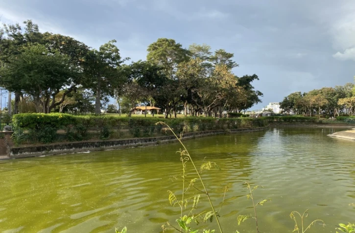 parc boisé au port