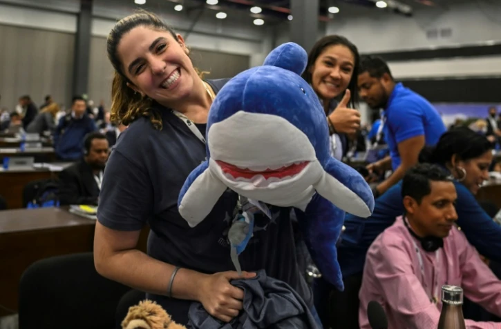 Vote "historique" attendu sur les requins au 19e sommet des espèces menacées