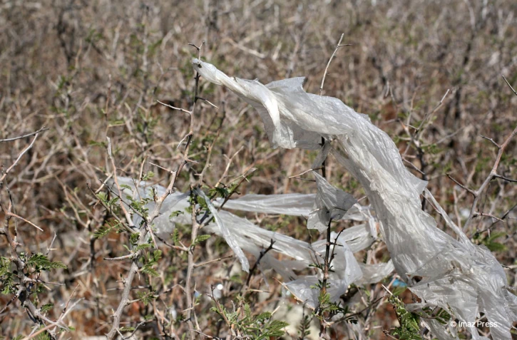Déchets plastiques