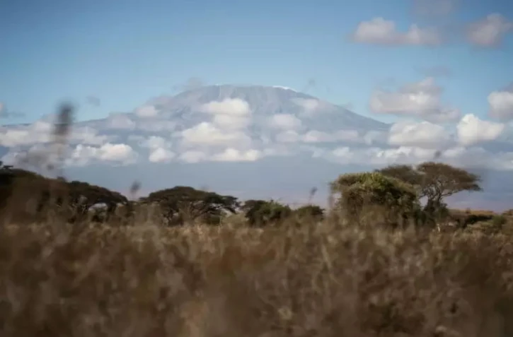 AFP incendie Kilimanjaro