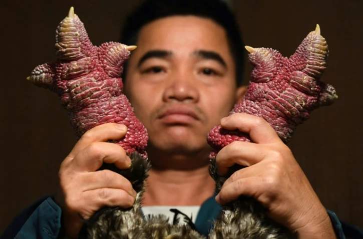 Vietnam: les pattes de "poulet dragon", un mets très apprécié pour le nouvel an lunaire