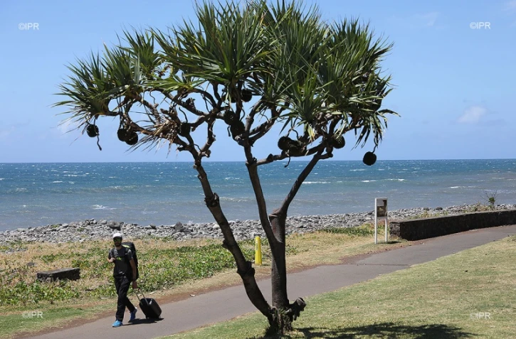 illustrations photos