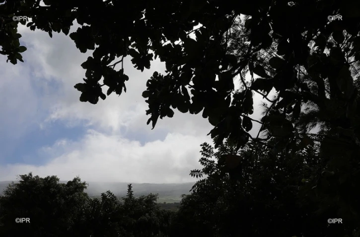 paysages