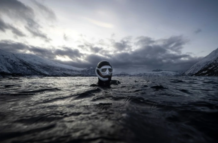 Dans les eaux glacées de Norvège, l'apnéiste Guérin-Boëri danse avec les orques