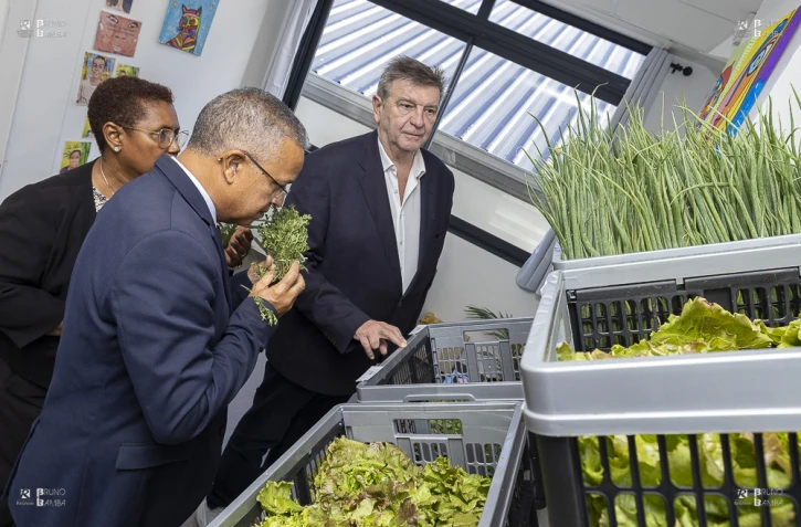 Une nouvelle épicerie solidaire inaugurée à Saint-Denis