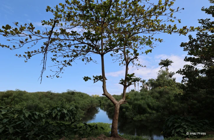 paysages