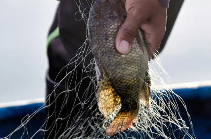 Pêche au filet dans le jardin aztèque de Xochimilco