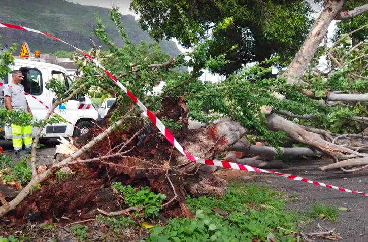 Capture d’e?cran vidéo Dyonicité