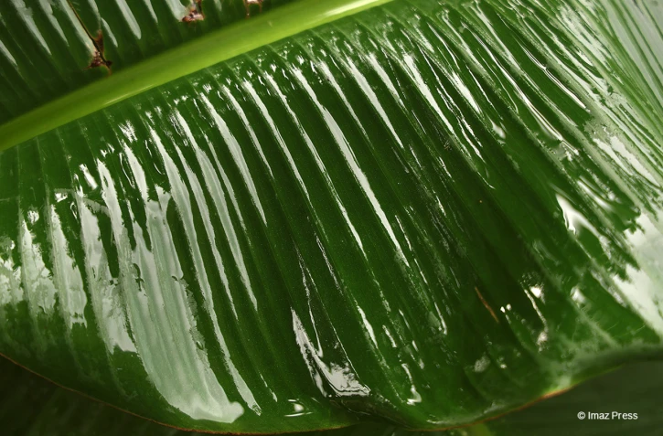 Goutte d'eau et pluie