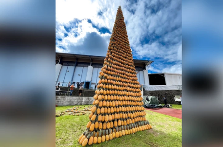 Tour d'ananas au Tampon, Record du monde de la plus haute pyramide de fruits
