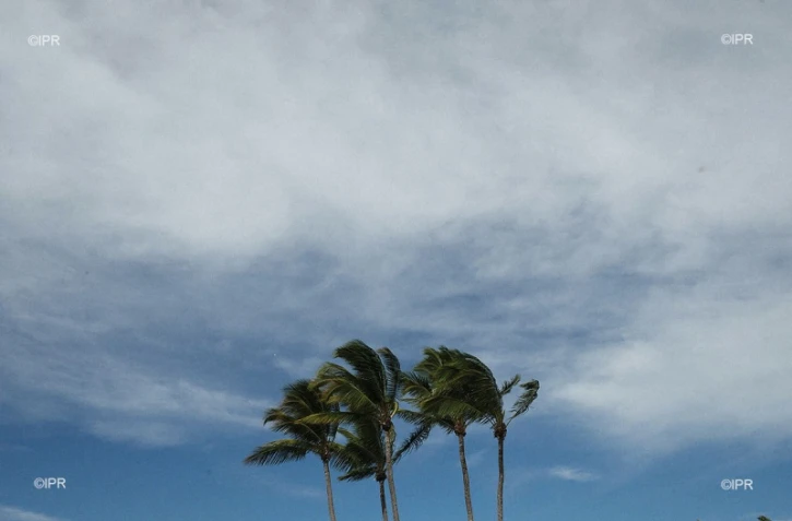 cyclone Berguitta