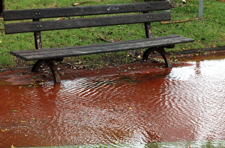 météo réunion