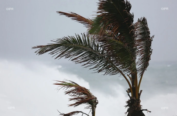 cyclone felleng