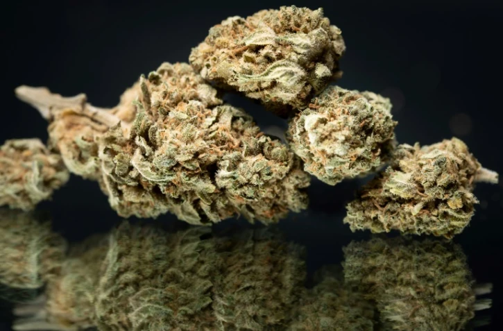 Cannabis: la vente de CBD sous toutes ses formes définitivement autorisée en France