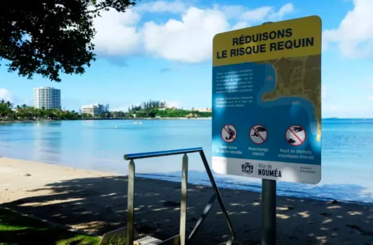 attaque de requin en nouvelle-calédonie
