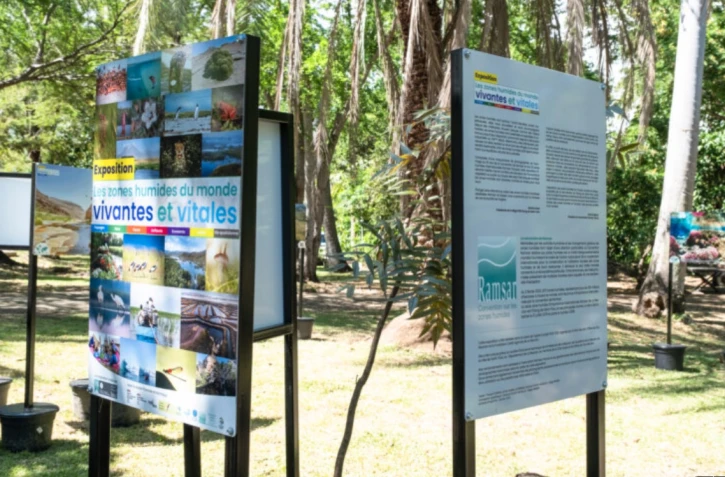 Une exposition itinérante au cœur des zones humides de Saint-Paul
