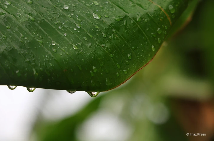 Goutte d'eau et pluie