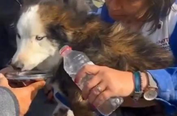 Crédit photo : Capture d'écran vidéo - News Agency - AFP