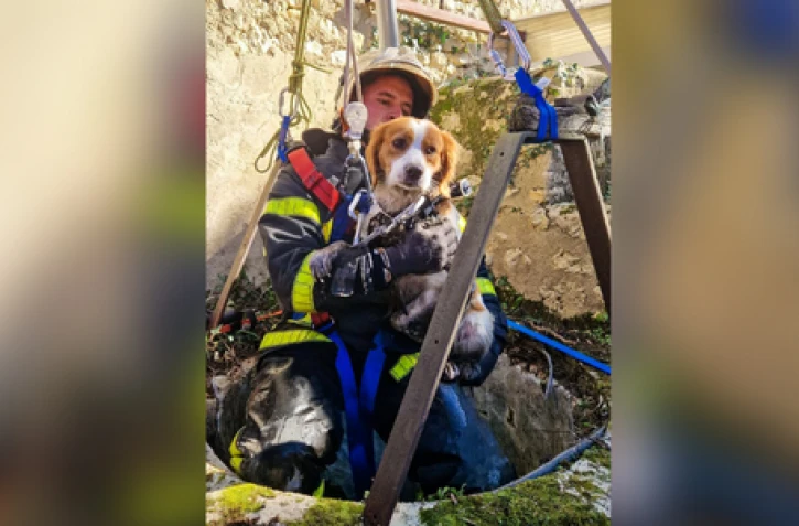 sauvetage d'un chien dans un puits, Indre
