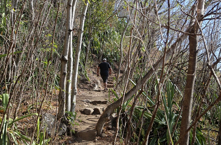 Sentier