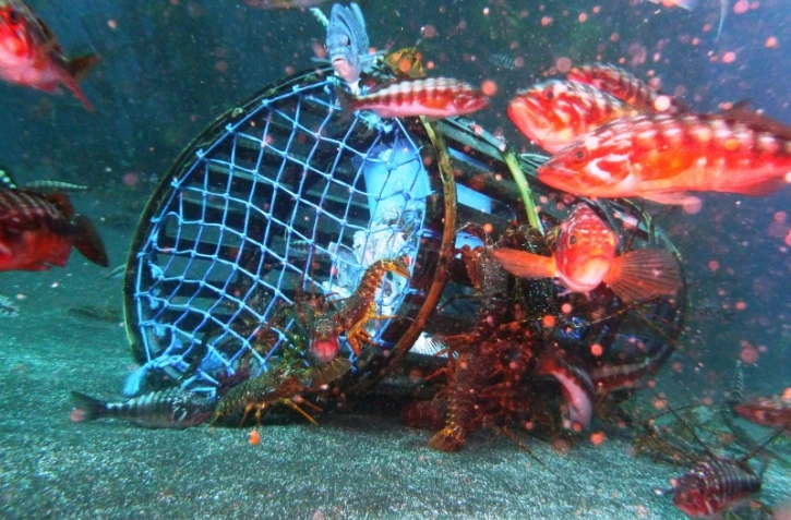 Pêcherie de langouste de Saint-Paul et Amsterdam : une certification pour la SAPMER