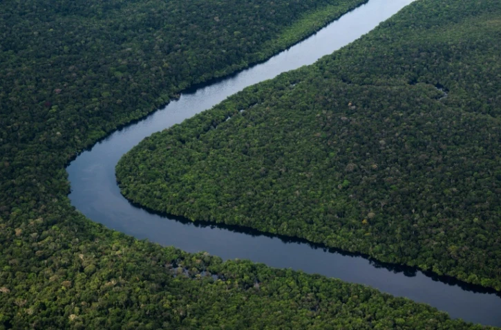 Déforestation: accord inédit de l'UE pour verdir ses importations