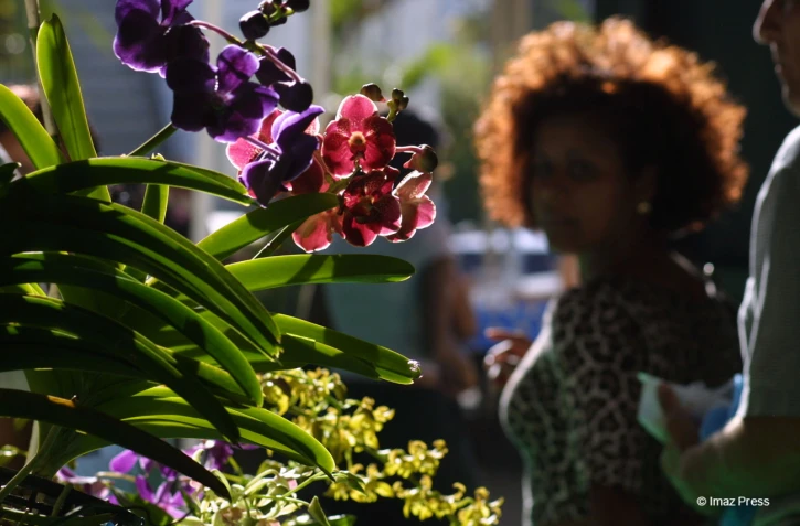fleurs et jardins