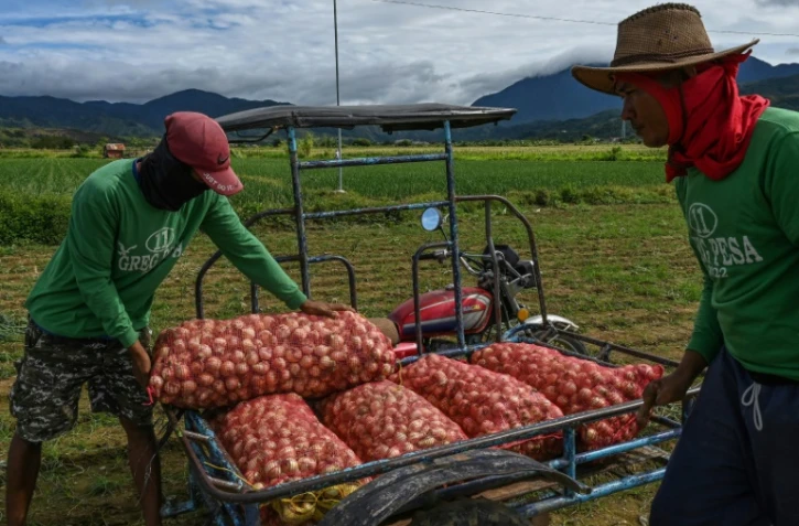 Aux Philippines, l'oignon devenu bien de luxe atteint des prix à pleurer